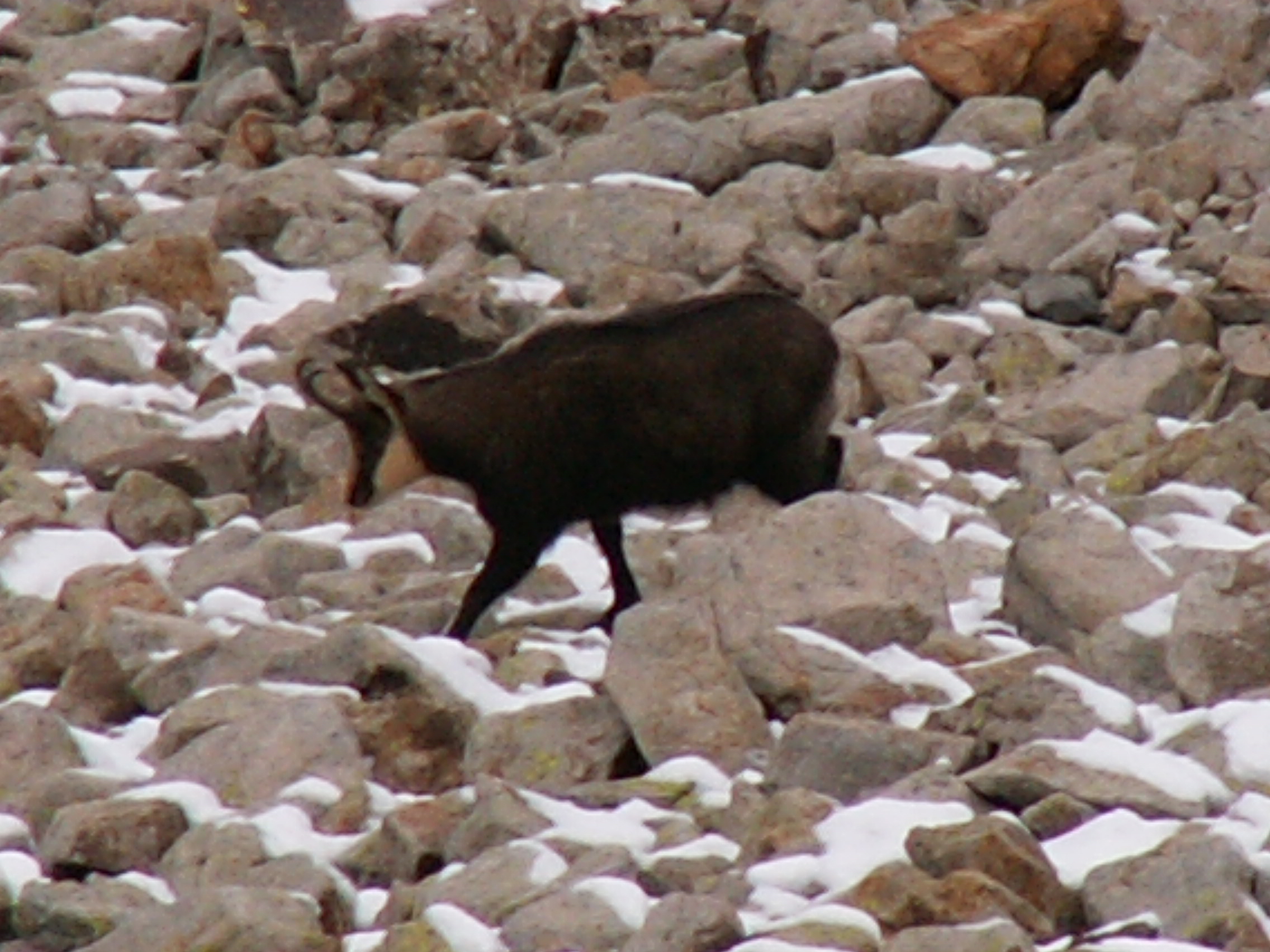 Photo Alpes Oisans Louer gite